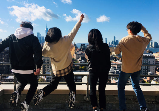 Trampoline Project New York 2019