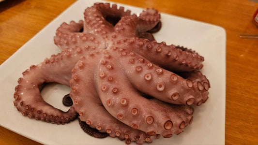 Frozen Octopus Fundraiser 2025