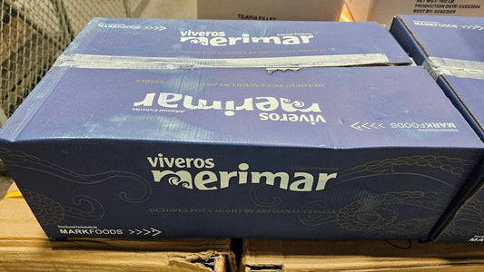 Frozen Octopus Fundraiser 2025